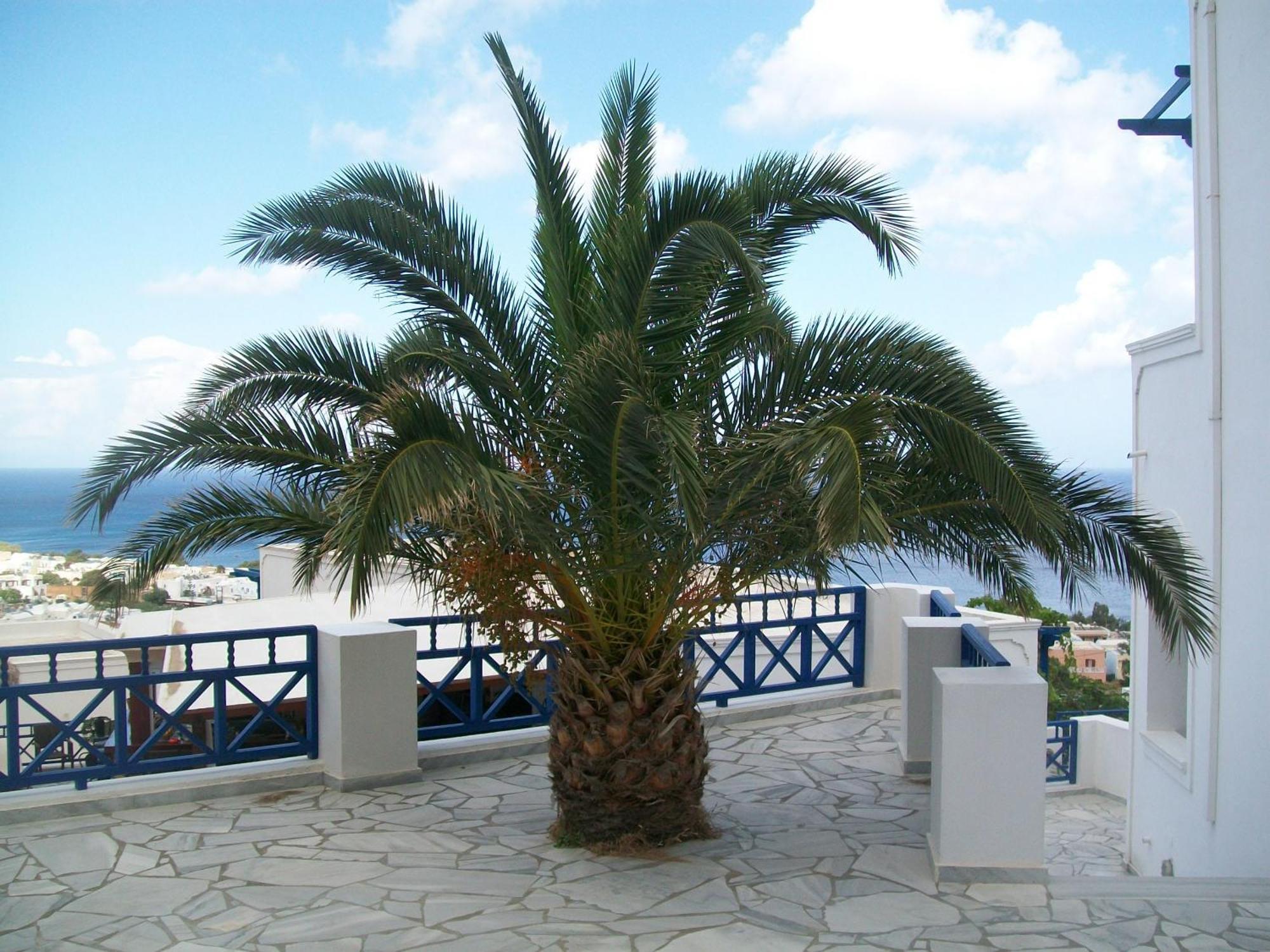 Aegean View Hotel Kamári Exterior foto